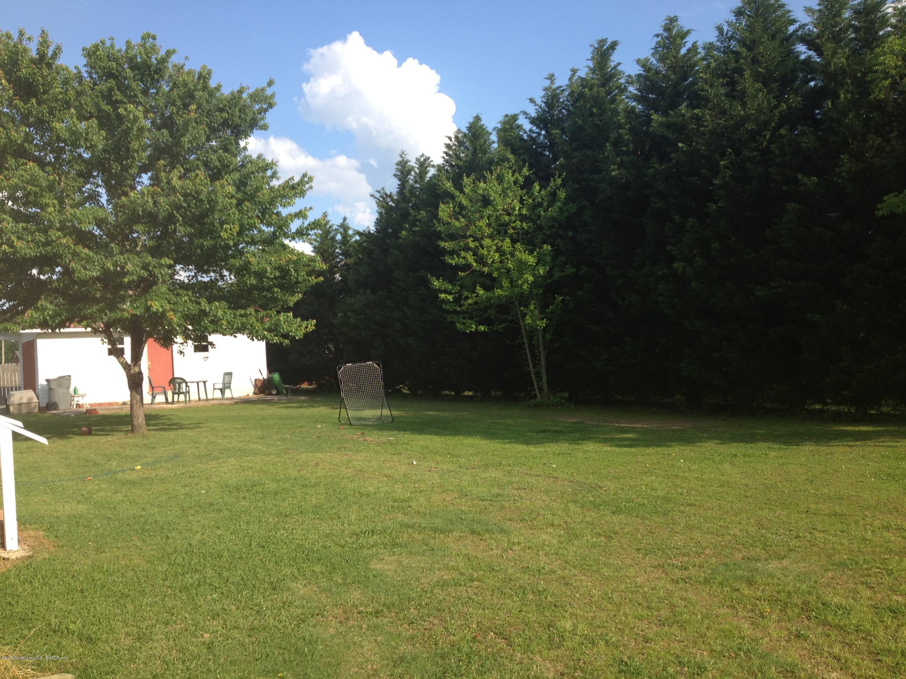 190 Drummond Road Jasper, AL 35504 - Photo 21 of 24 Gallery Image 21