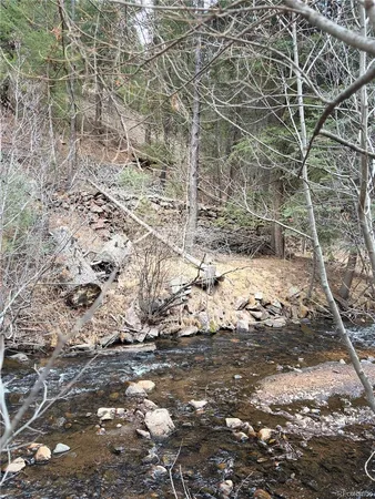 a view of a yard with snow on the yard