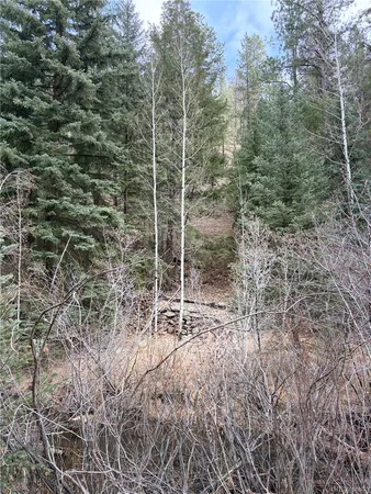 a view of a forest with trees and a house