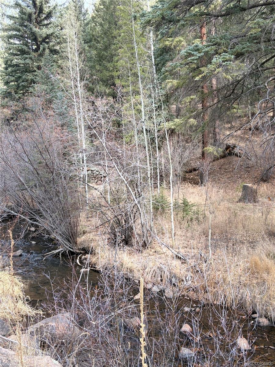0 South Elk Creek Road Pine, CO 80470 - Photo 4 of 8 a view of a pathway with a yard