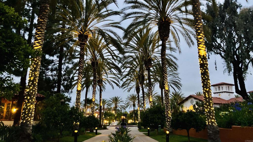 2005 Costa Del Mar Road, Unit 627 Carlsbad, CA 92009 - Photo 19 of 21 a view of a palm tree