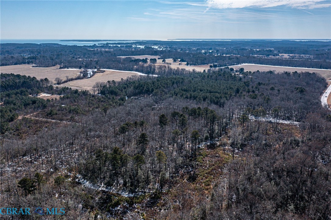Lot 22 Boy's Camp Road Kilmarnock, VA 22482 - Photo 10 of 10