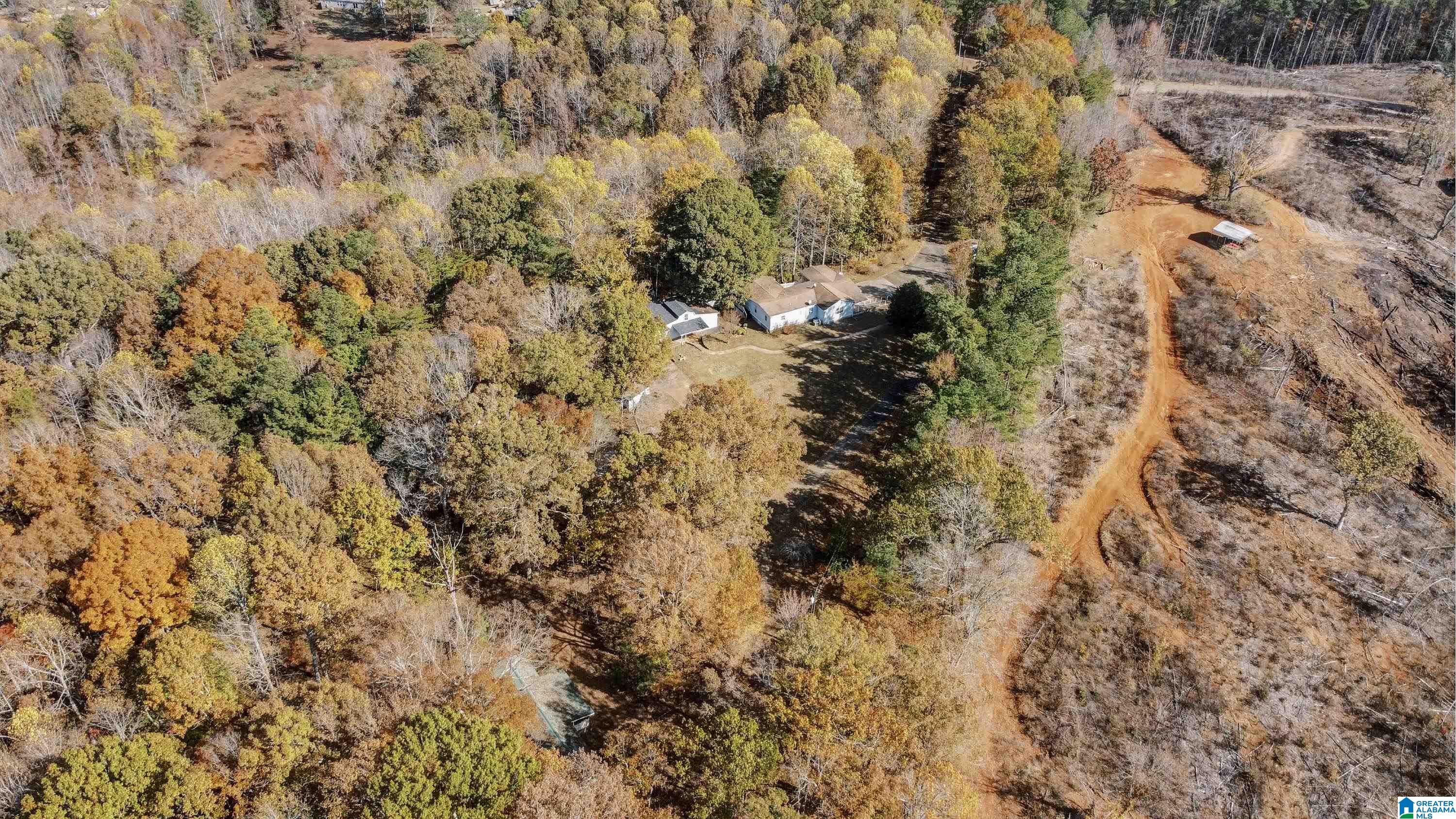 526 County Road 125 Heflin, AL 36264 - Photo 60 of 83