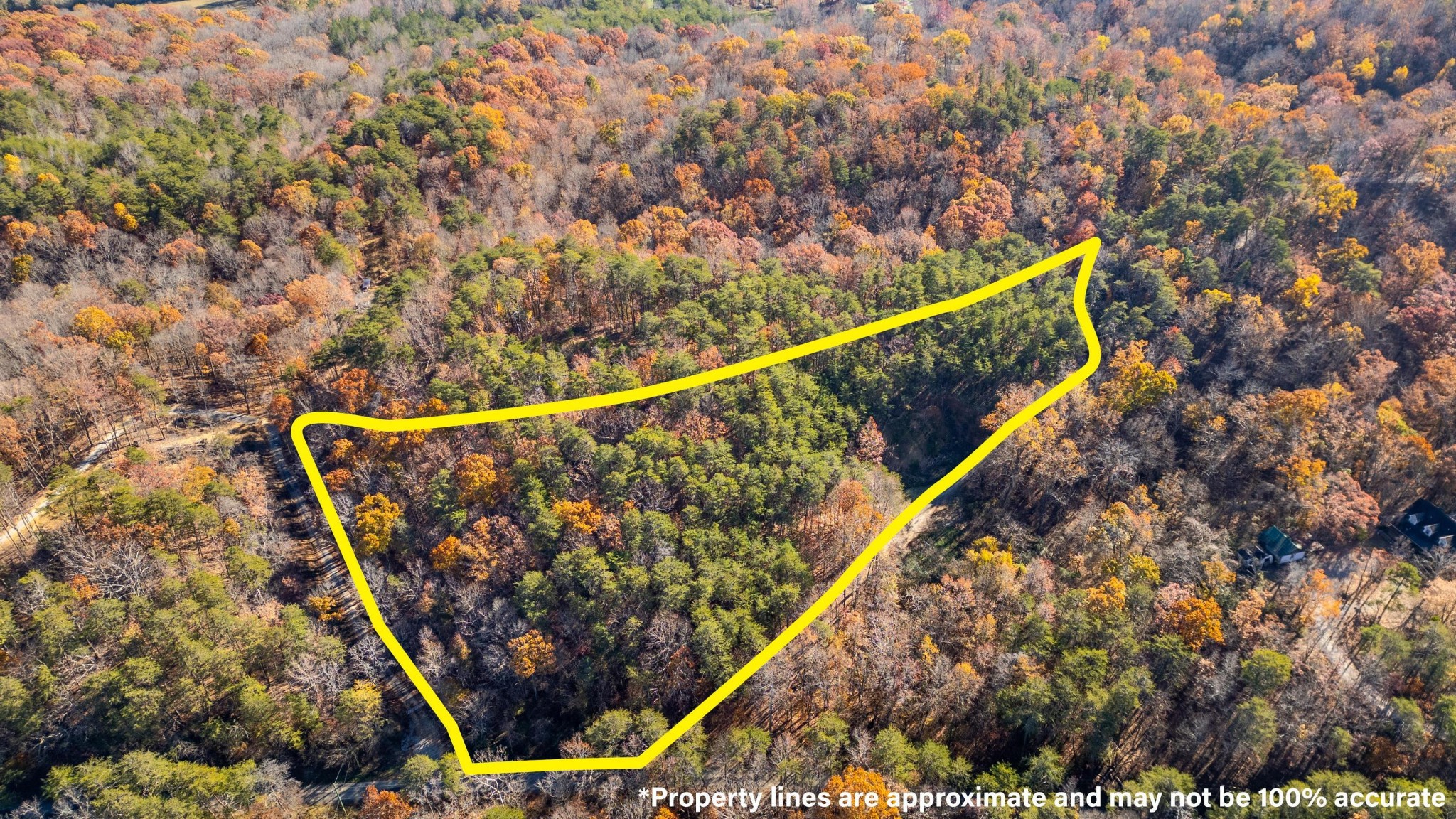 0 Powder Springs Circle Flintstone, GA 30725 - Photo 7 of 19 Gallery Image 7