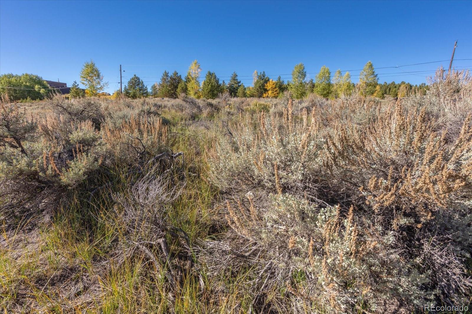 Tbd Leadville, CO 80461 - Photo 23 of 25 a view of a yard with a tree in the background