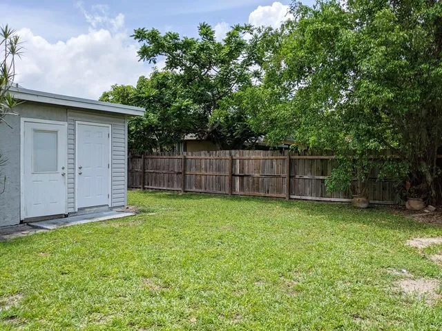 a view of a backyard with a potted plant and a large tree