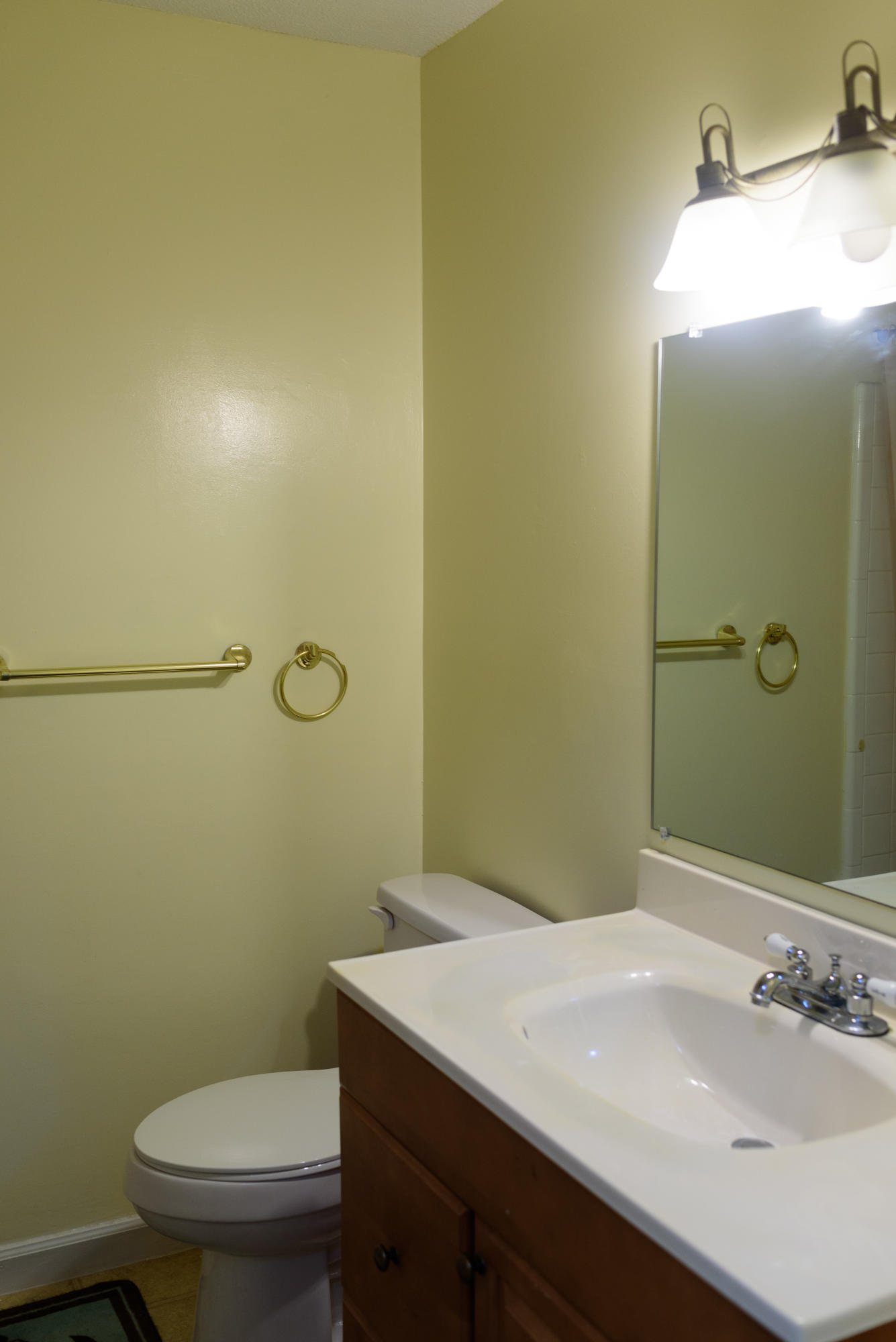 702 Beech Hill Road Summerville, SC 29485 - Photo 15 of 23 DSC_8626
