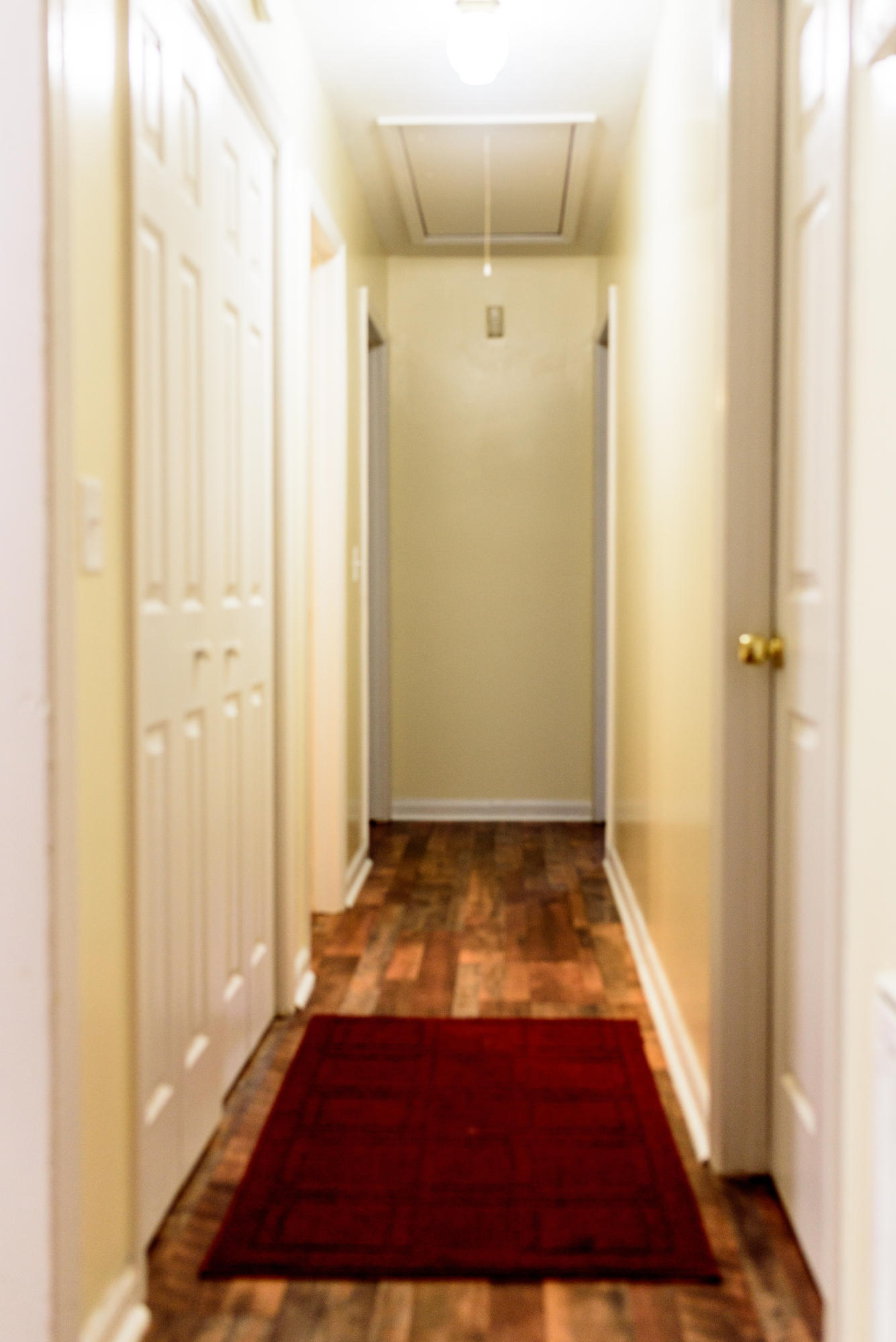 702 Beech Hill Road Summerville, SC 29485 - Photo 16 of 23 DSC_8621