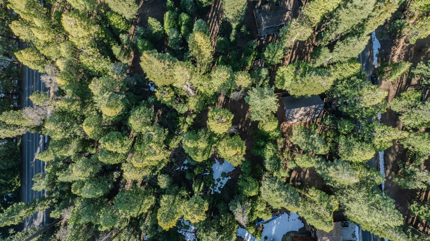 3099 Apache Road Dorrington, CA 95223 - Photo 2 of 4