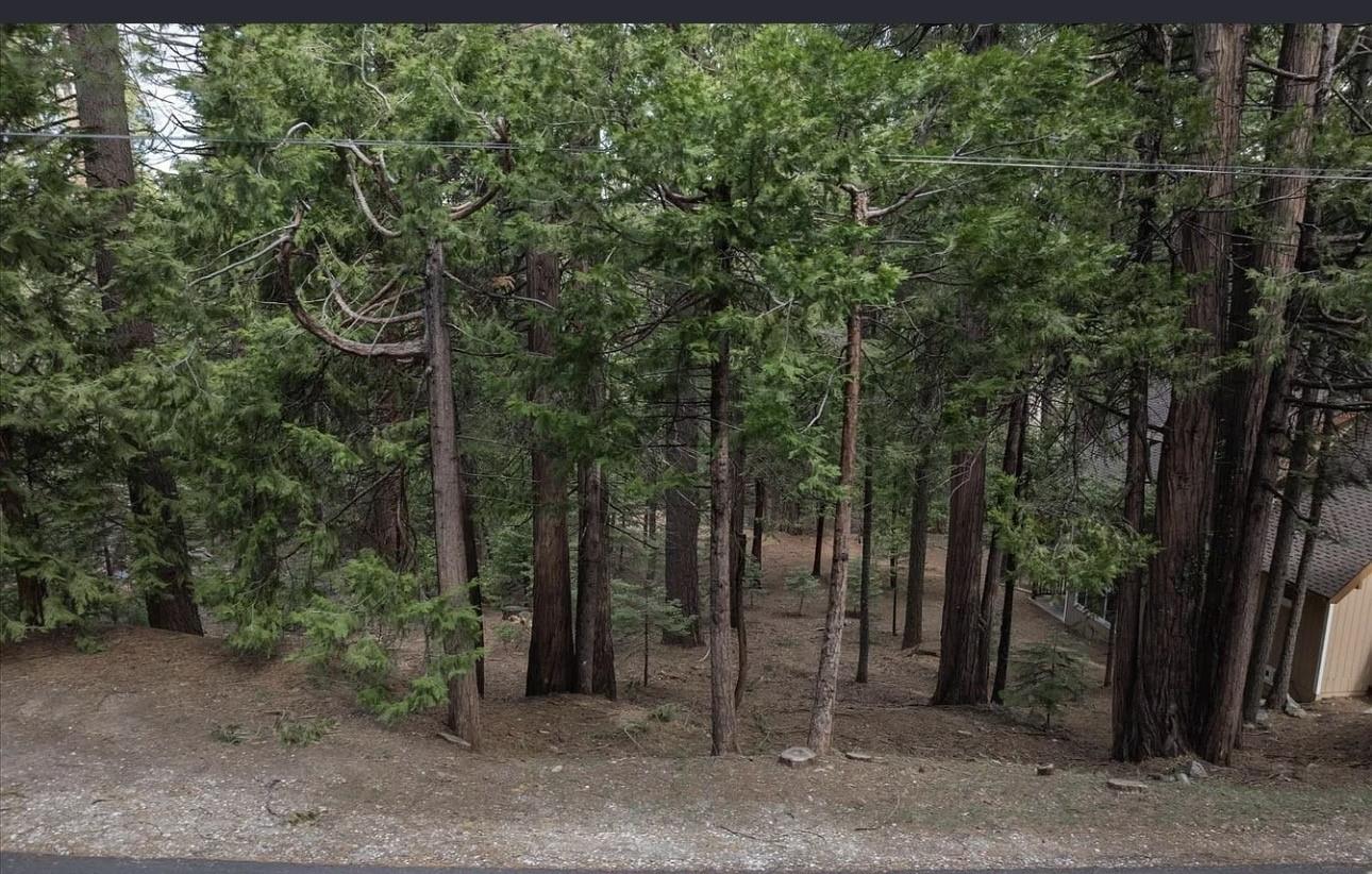 3099 Apache Road Dorrington, CA 95223 - Photo 4 of 4