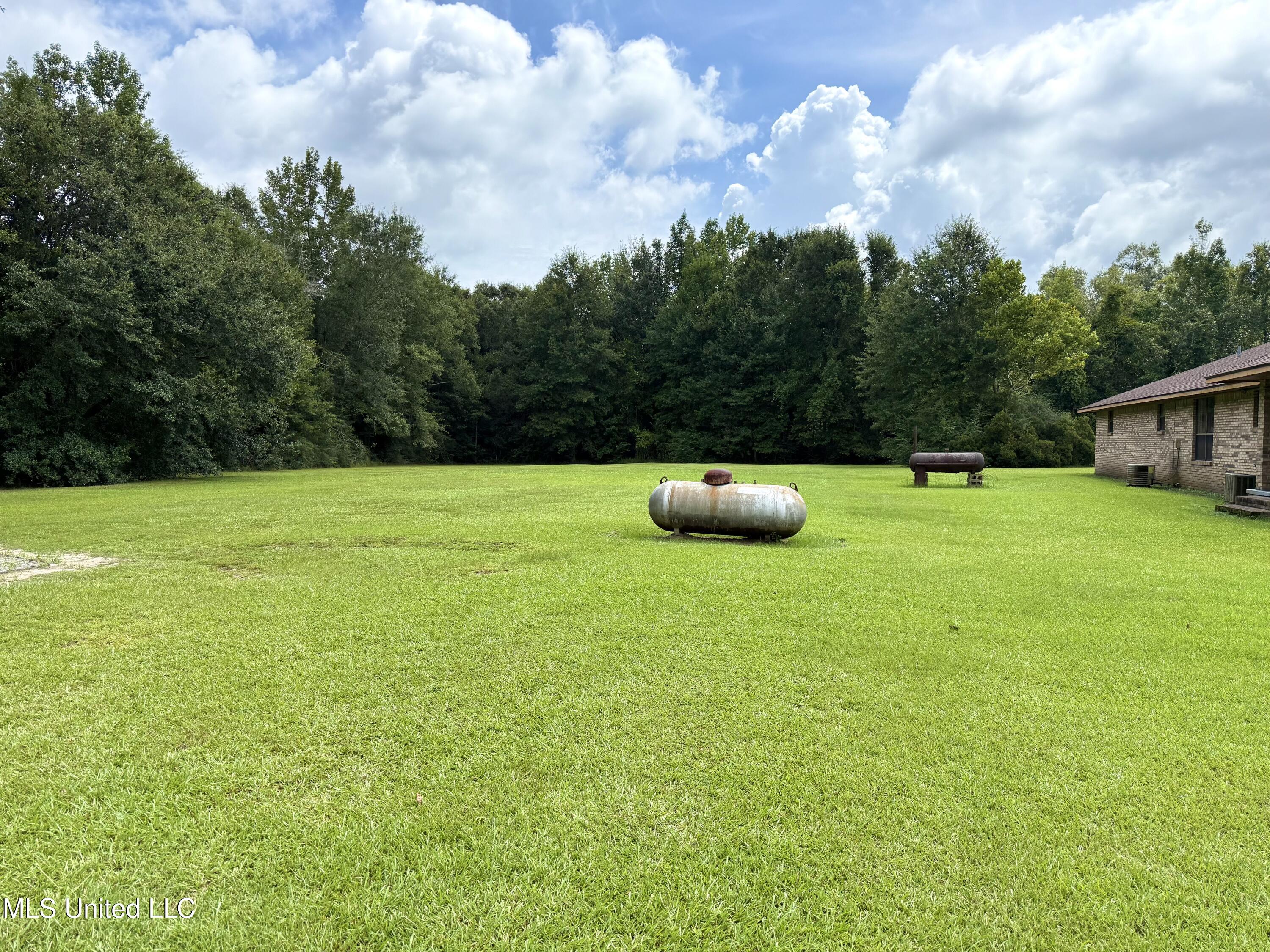 138 Clinton Lawrence Road Lucedale, MS 39452 - Photo 17 of 18 IMG_2634