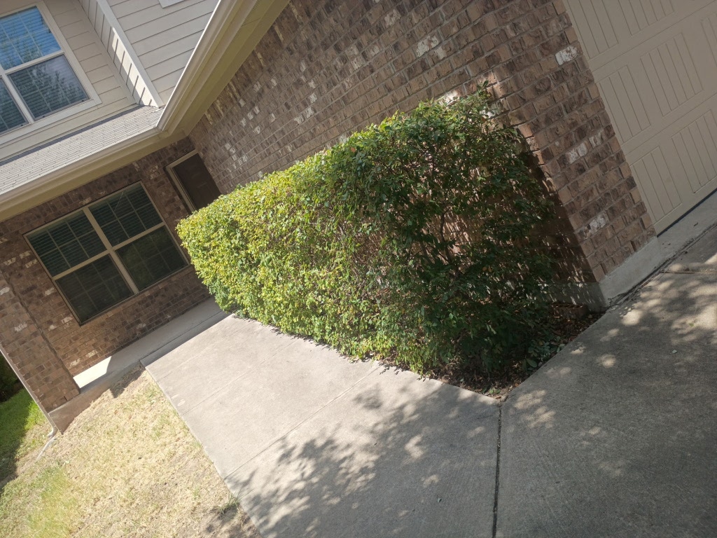 7213 Outfitter Drive Austin, TX 78744 - Photo 3 of 16 a view of a yard with plants