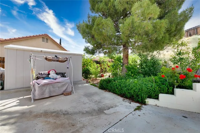 a view of back yard of the house