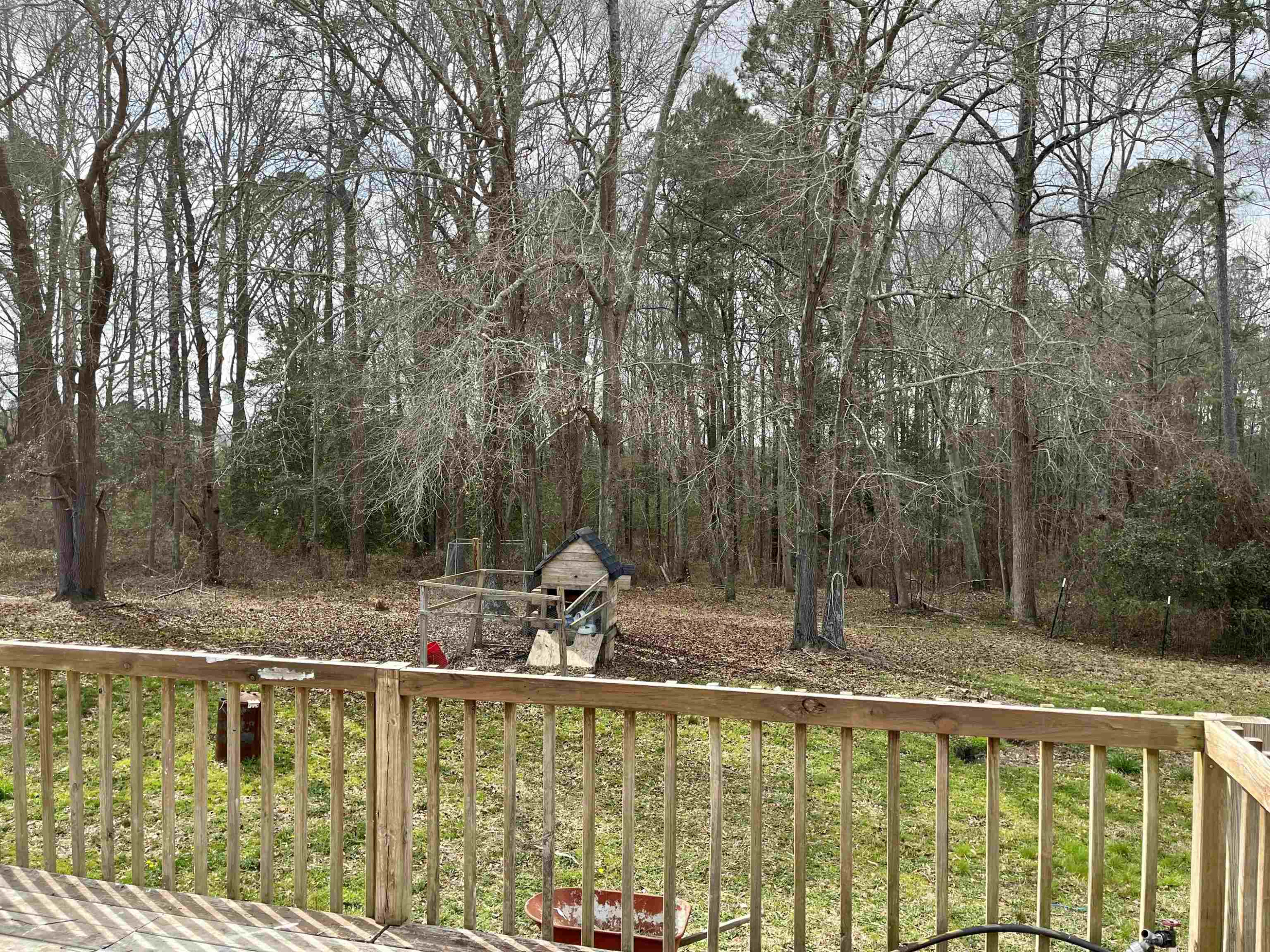 33 Trail Ridge Drive Benson, NC 27504 - Photo 8 of 14 Photo 8