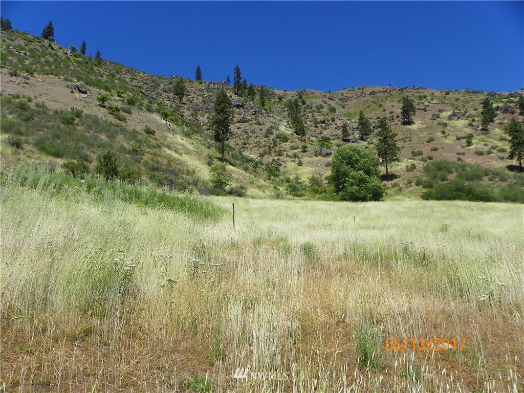 400 Mad River Road Entiat, WA 98822 - Photo 3 of 12 Gallery Image 3