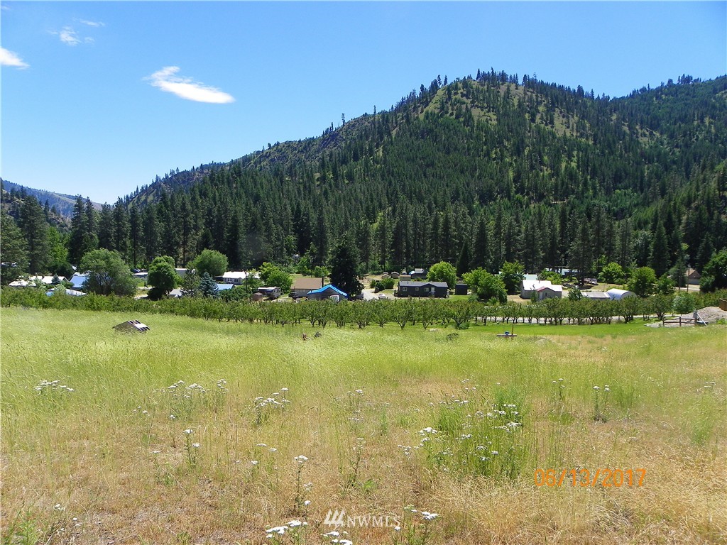 400 Mad River Road Entiat, WA 98822 - Photo 4 of 12 Gallery Image 4