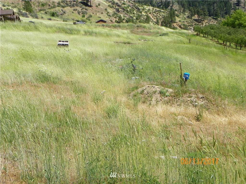 400 Mad River Road Entiat, WA 98822 - Photo 9 of 12 Gallery Image 9
