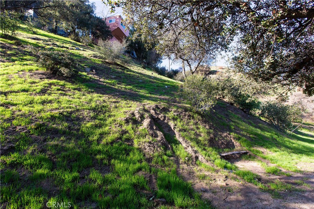 0 Undefined Tujunga, CA 91042 - Photo 6 of 13 a view of a yard with a tree