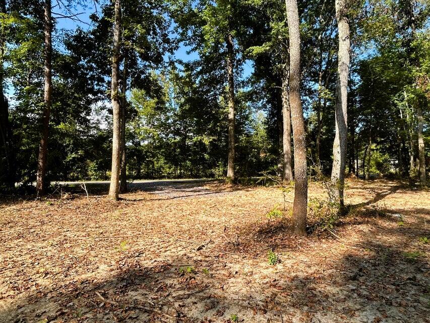 3 Pleasant Hill Road Ten Mile, TN 37880 - Photo 5 of 14 Tract 3 PH cleared homesite
