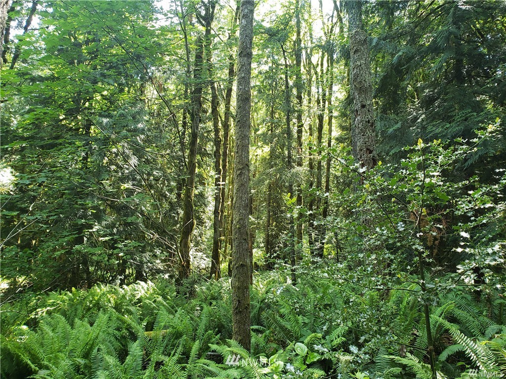 1033 Turkey Road Northwest Olympia, WA 98502 - Photo 21 of 27 Gallery Image 21