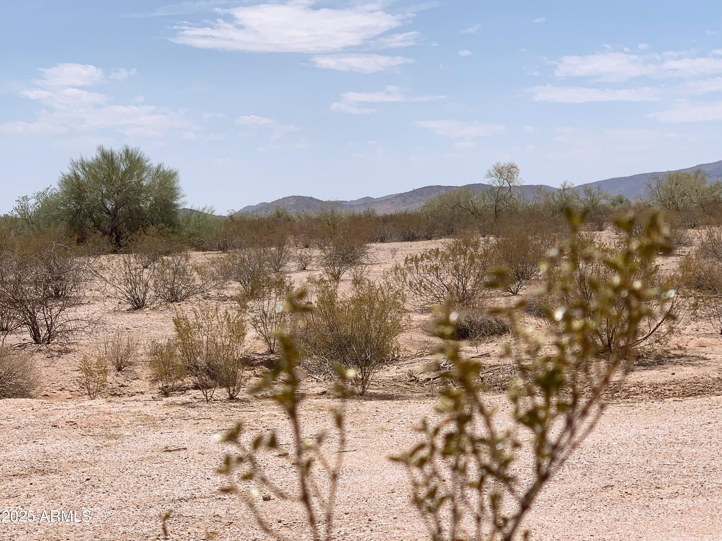 0 West Marsh Road, Unit 4 Stanfield, AZ 85172 - Photo 5 of 14 Pristine Desert Vegetation!