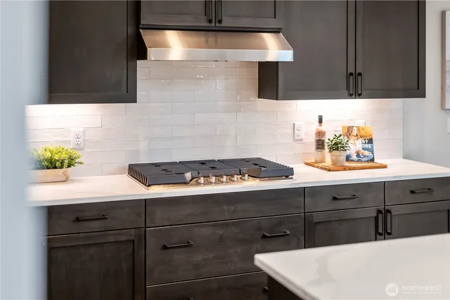 a sink with a stove and cabinets