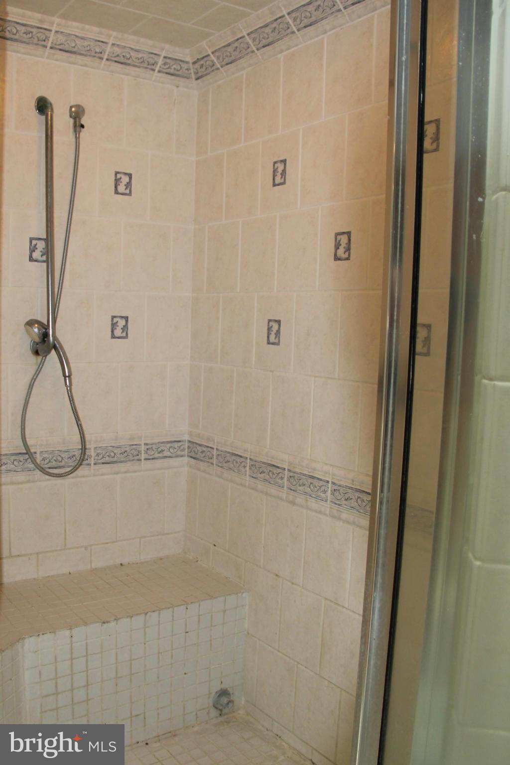 14540 Cherry Lane Ridgely, MD 21660 - Photo 10 of 30 Bath (Master)