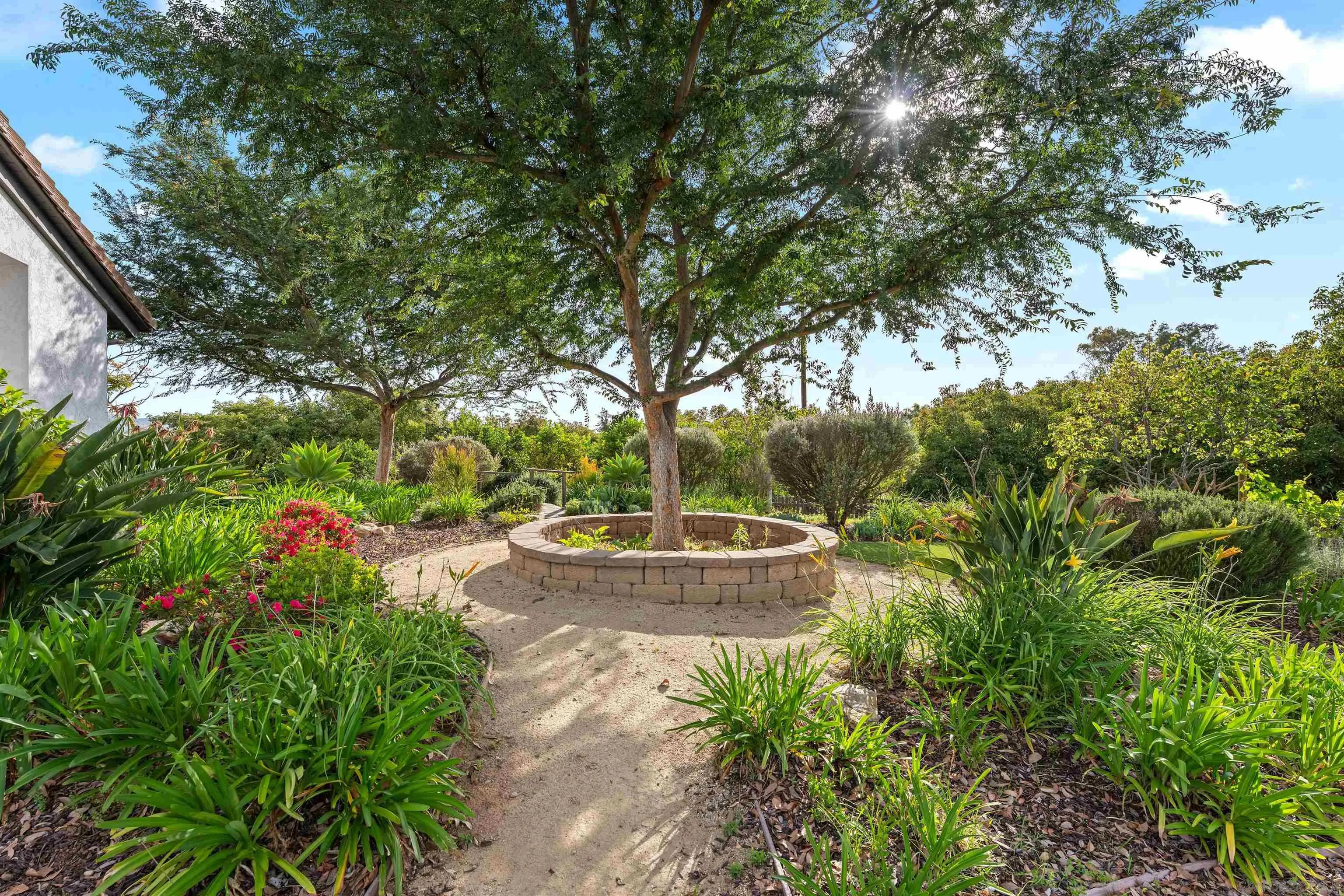 30659 Diaz Road Valley Center, CA 92082 - Photo 42 of 44 a view of a garden with plants