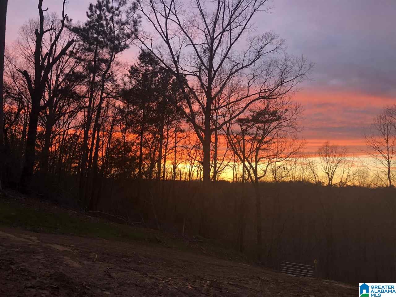 6274 New Castle Road, Unit 19 ACRES Morris, AL 35116 - Photo 21 of 30 Gallery Image 21