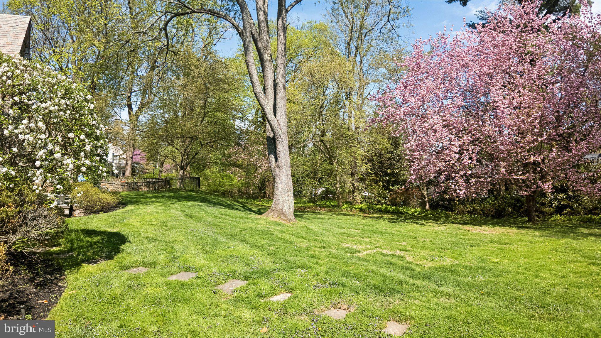 517 Fishers Road Bryn Mawr, PA 19010 - Photo 107 of 131