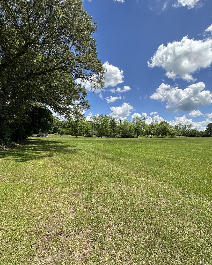 3845 Old Atmore Road Flomaton, AL 36441 - Photo 4 of 9