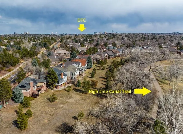 a view of a park with large trees