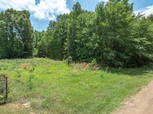 $149,000 | 4909 County Road 4909, Ben Wheeler, TX 75754