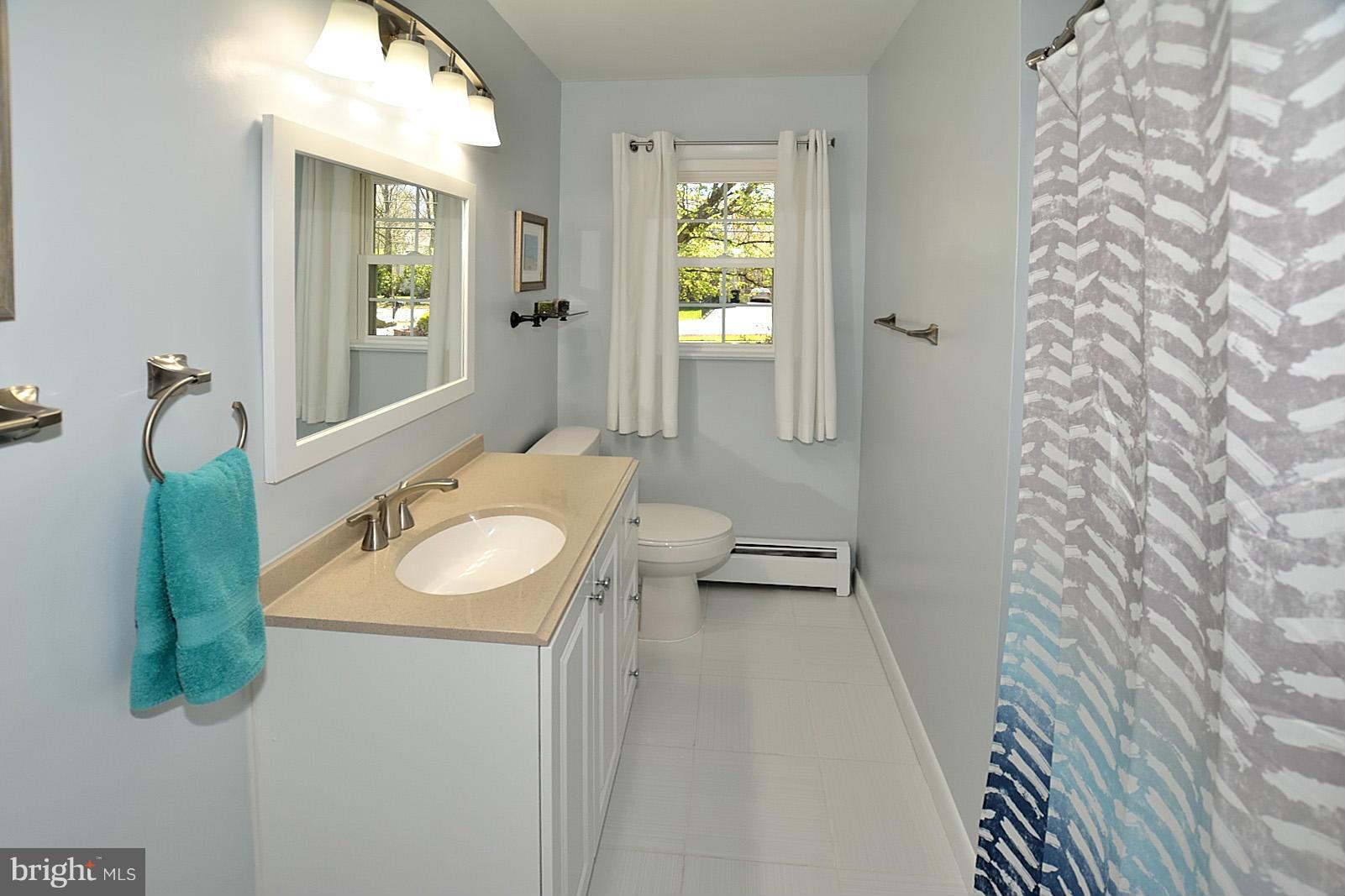 4902 Pole Road Alexandria, VA 22309 - Photo 18 of 30 a bathroom with a sink and mirror with toilet