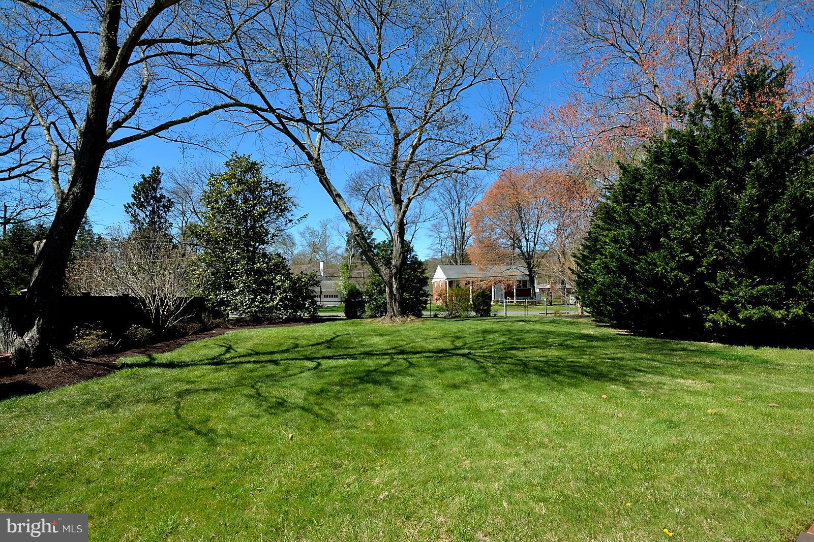 4902 Pole Road Alexandria, VA 22309 - Photo 30 of 30 a view of a backyard with large trees