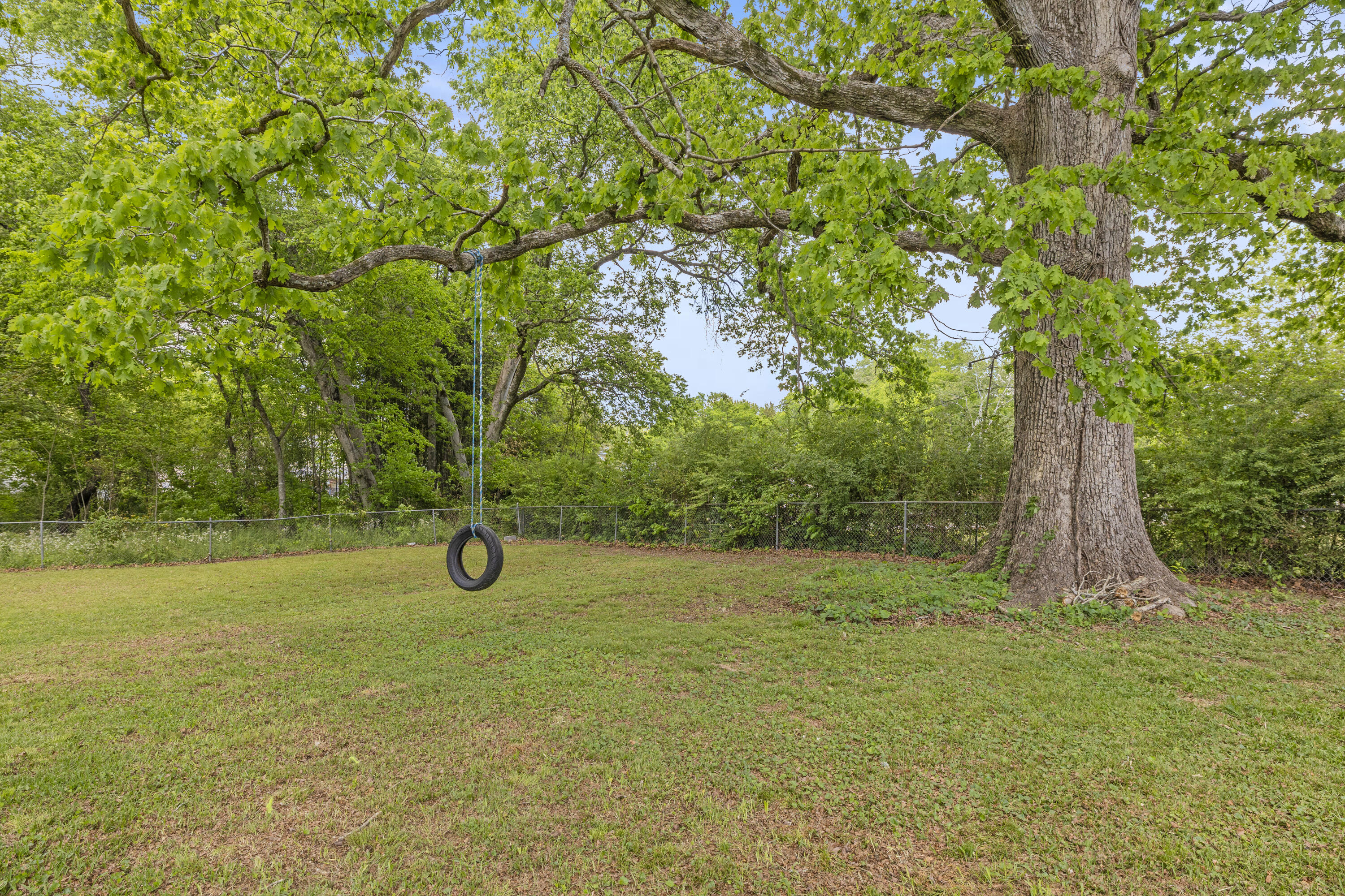 803 Cove Road Chickamauga, GA 30707 - Photo 33 of 34 Back Yard