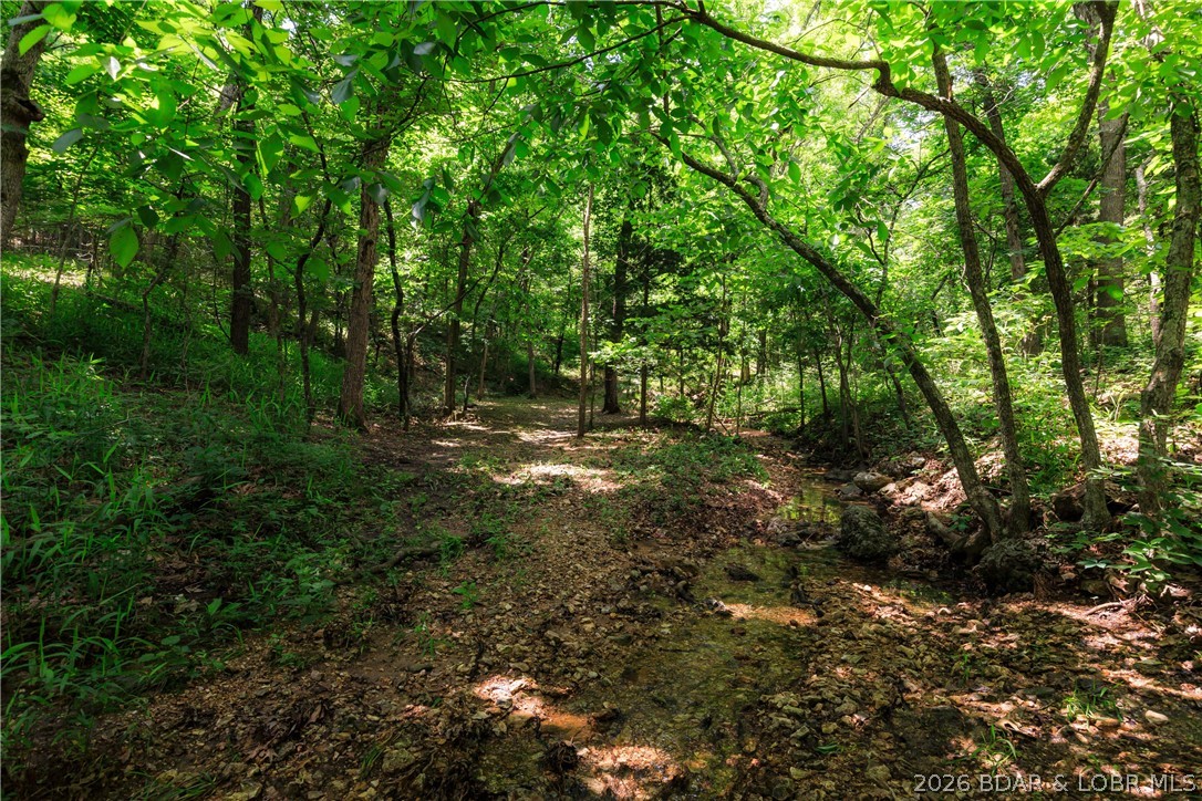 400 Hidden Acres Road Camdenton, MO 65020 - Photo 16 of 39
