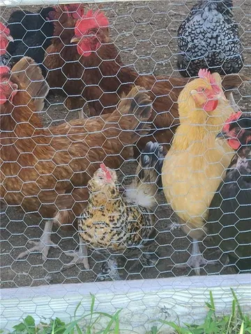 $345,000 | 5730 Highway 33, Osborn, MO 64474