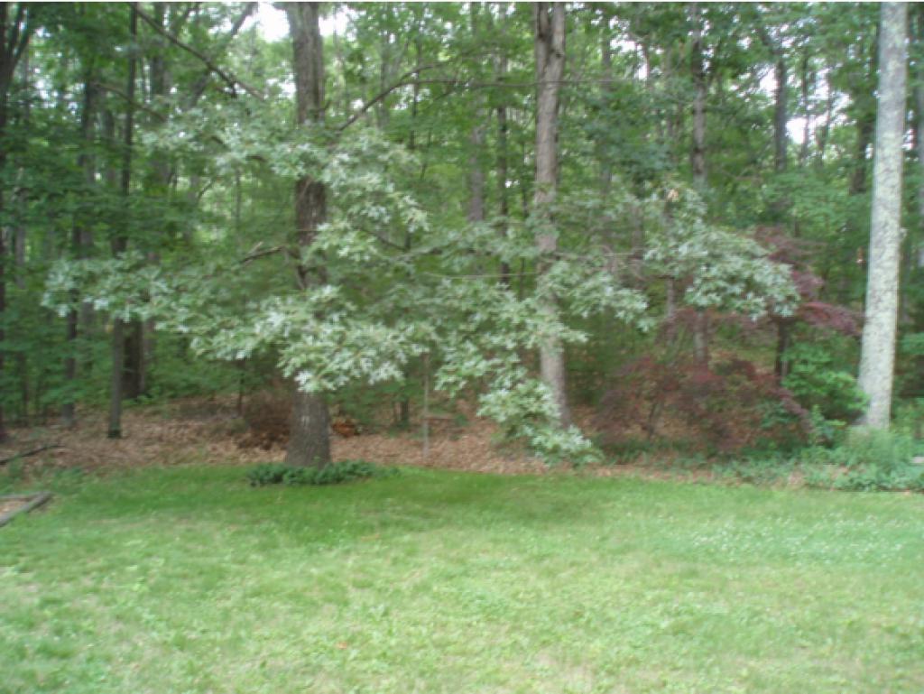 102 Bricketts Mill Road Hampstead, NH 03841 - Photo 32 of 35 Gallery Image 32