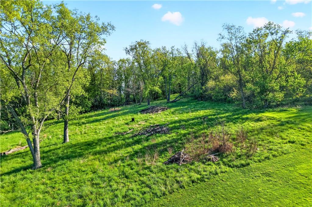 1188 Willowbrook Road Belle Vernon, PA 15012 - Photo 8 of 50 a view of a green field with lots of bushes