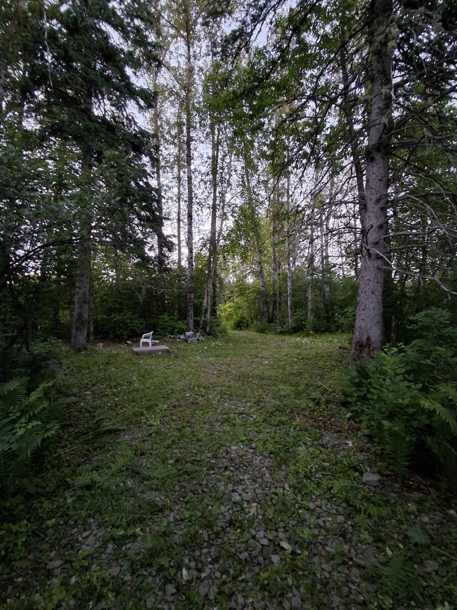1356 Aroostook Road Wallagrass, ME 04781 - Photo 30 of 37 48