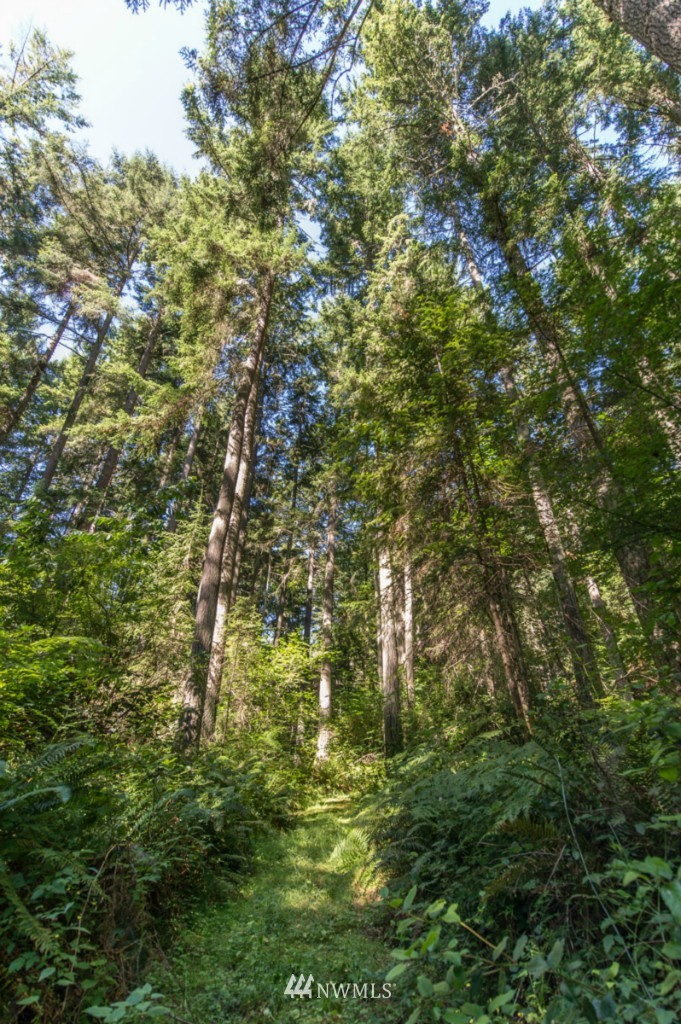 11204 Southwest Cemetery Road Vashon, WA 98070 - Photo 22 of 23