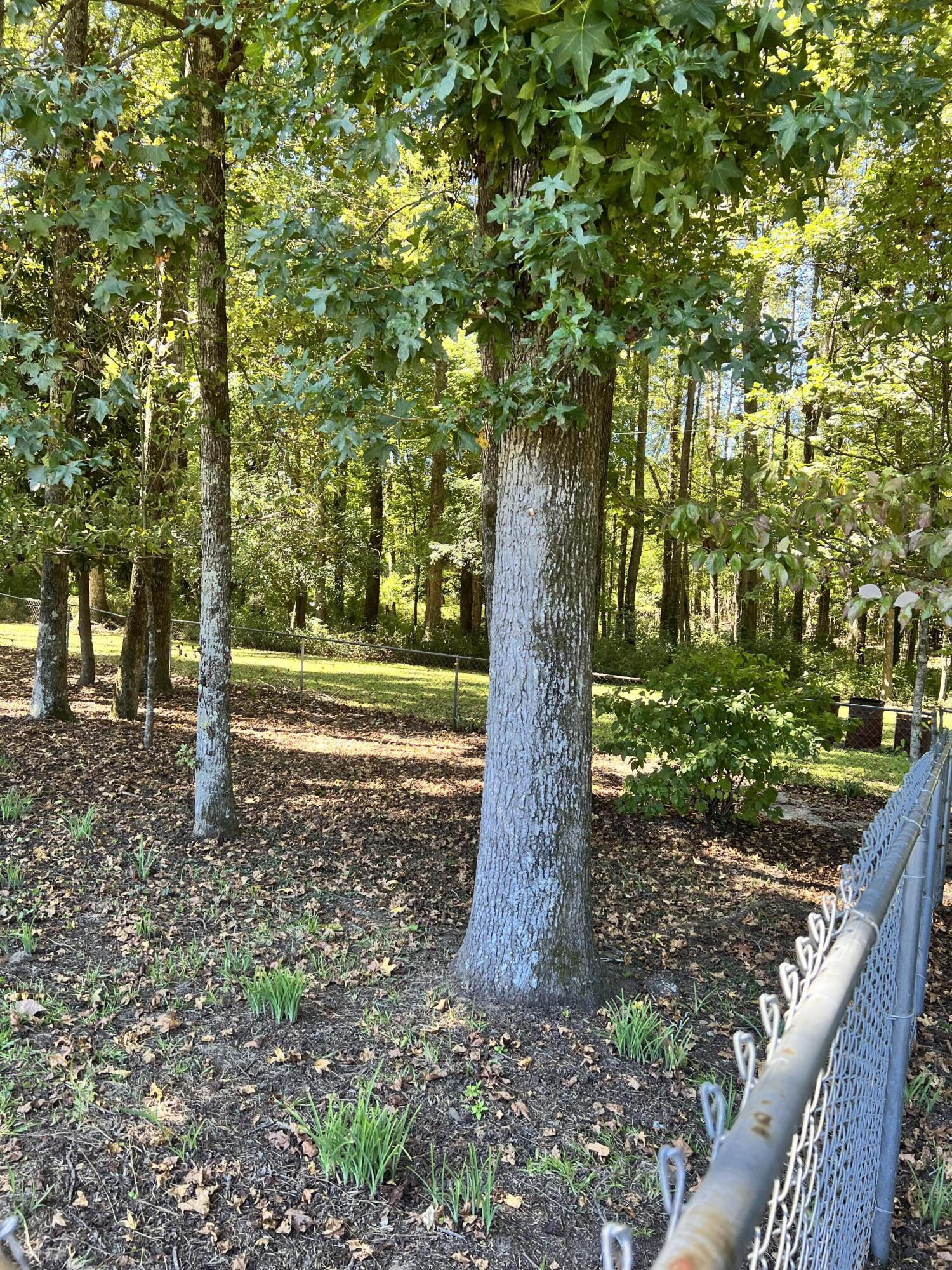 1443 Old Salem Road Thomson, GA 30824 - Photo 44 of 46 Fenced in Dog Run