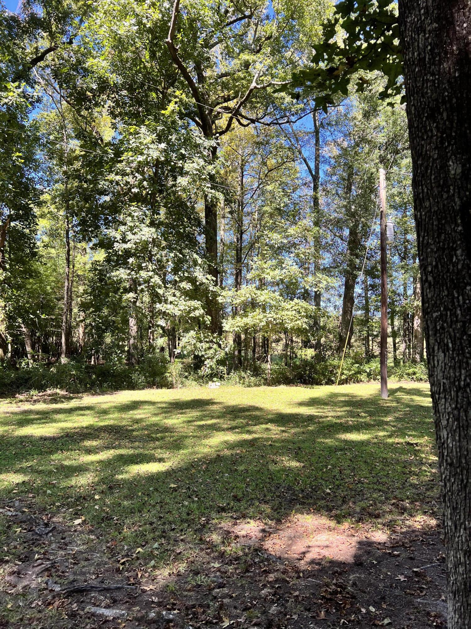 1443 Old Salem Road Thomson, GA 30824 - Photo 45 of 46 View of land behind work shop.