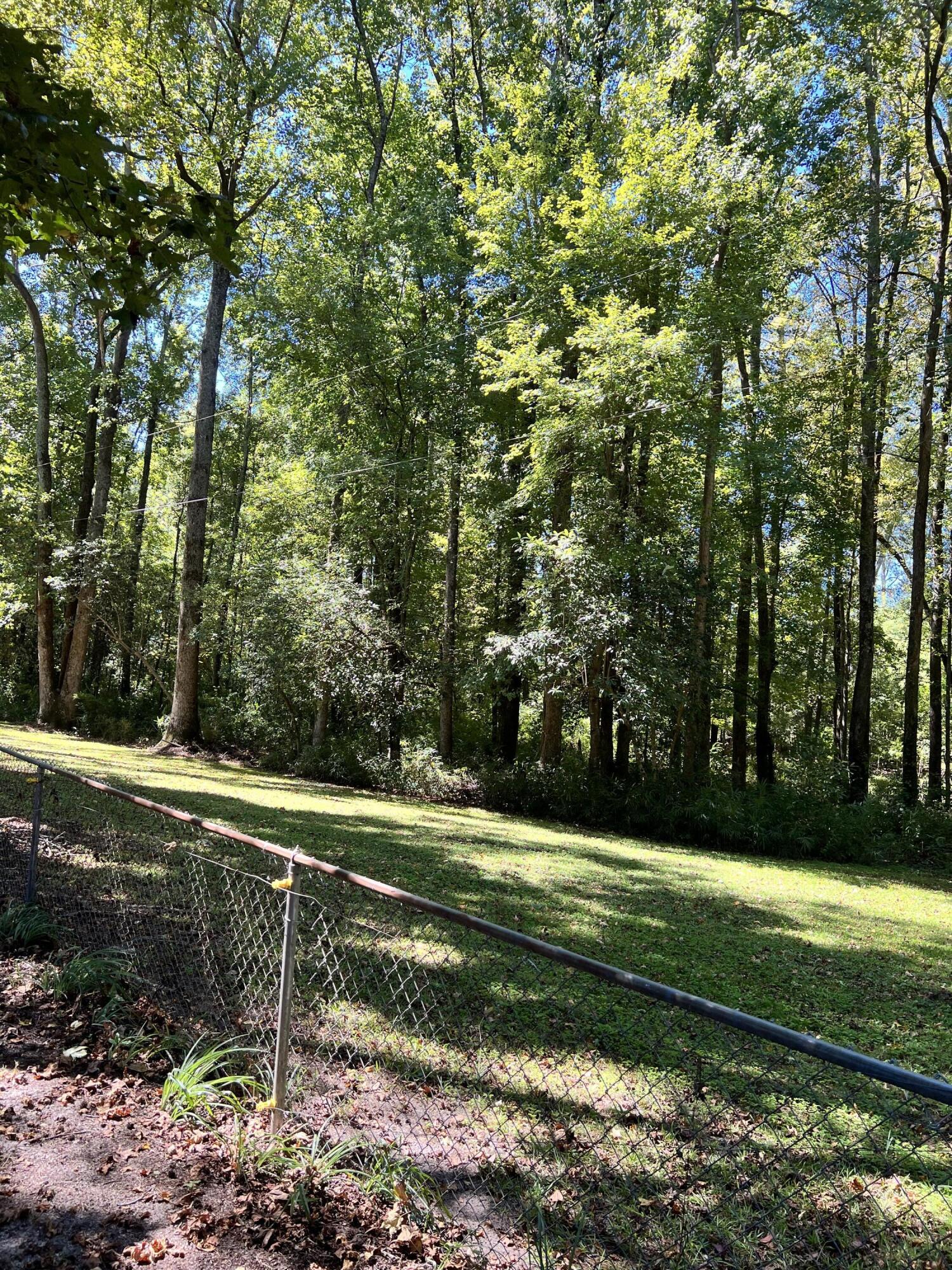 1443 Old Salem Road Thomson, GA 30824 - Photo 46 of 46 view of land behind Dog run