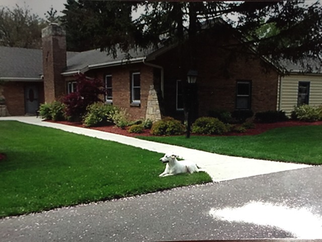 1000 North Randall Road Aurora, IL 60506 - Photo 17 of 17