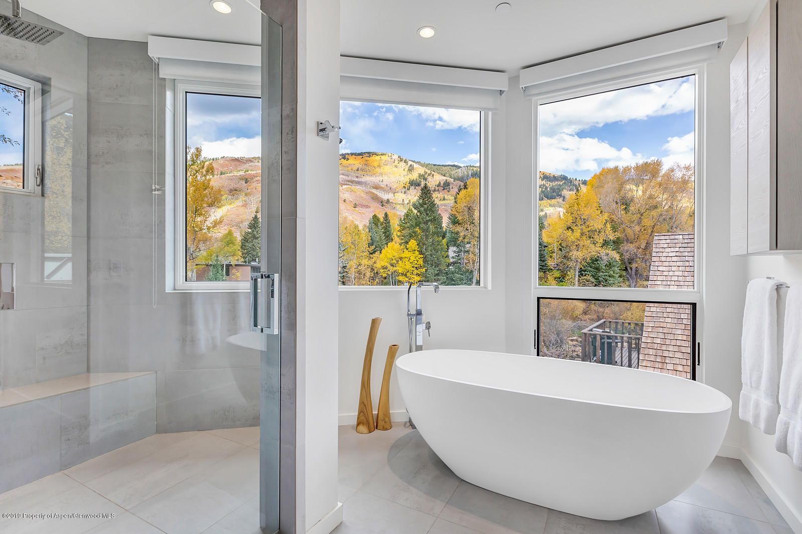 1098 Waters Avenue Aspen, CO 81611 - Photo 20 of 45 a bathroom with a bathtub and a shower