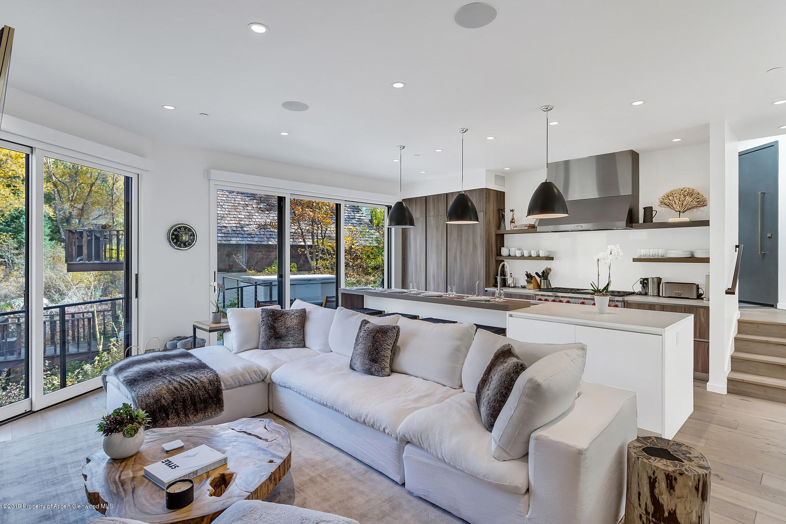 1098 Waters Avenue Aspen, CO 81611 - Photo 2 of 45 a living room with furniture and a large window