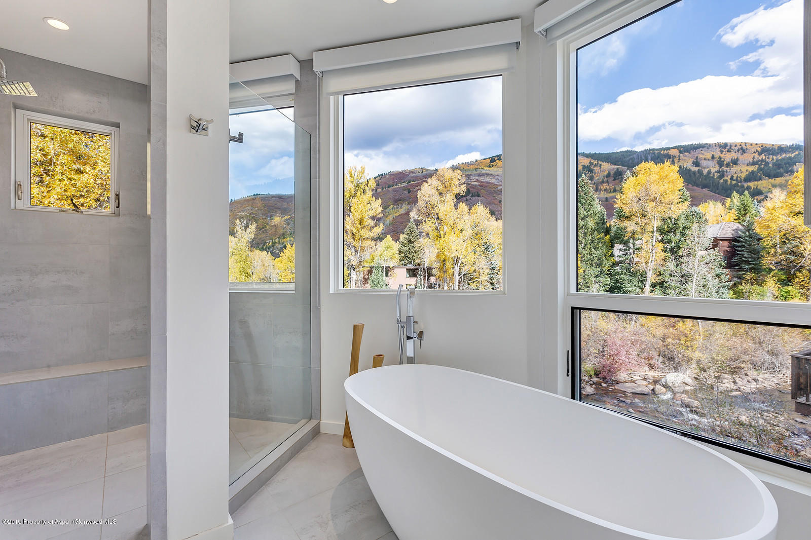 1098 Waters Avenue Aspen, CO 81611 - Photo 21 of 45 a bathroom with a bathtub and a shower