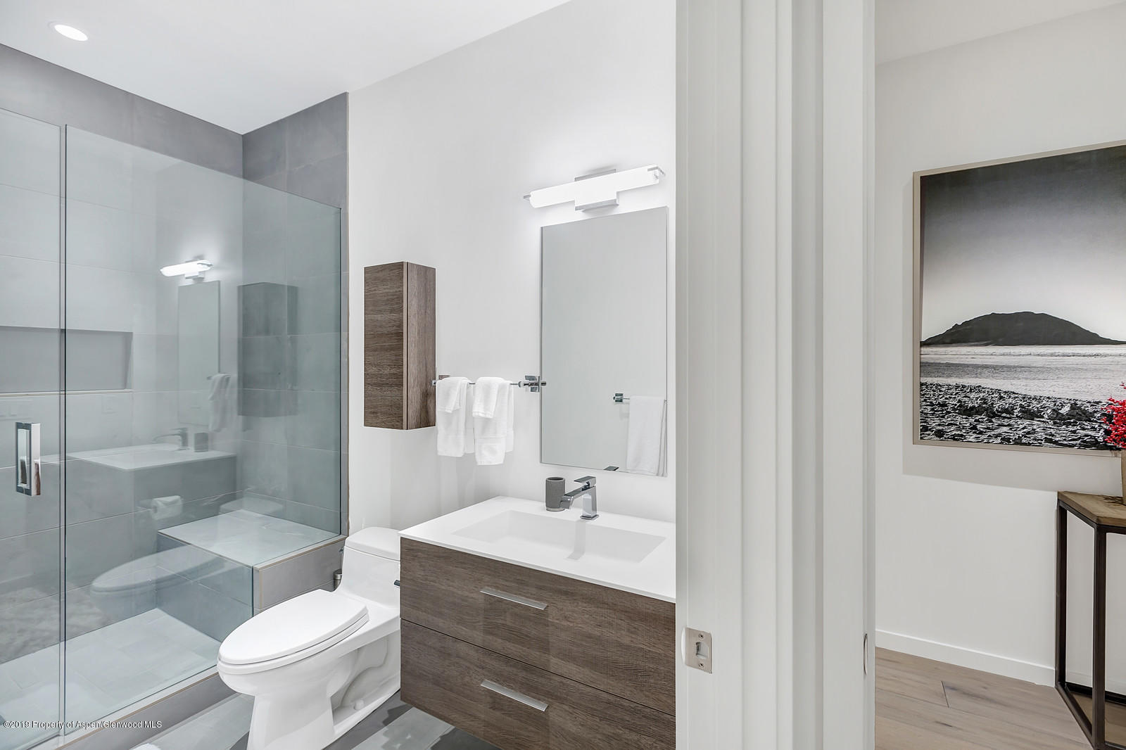 1098 Waters Avenue Aspen, CO 81611 - Photo 37 of 45 a bathroom with a sink a toilet and shower